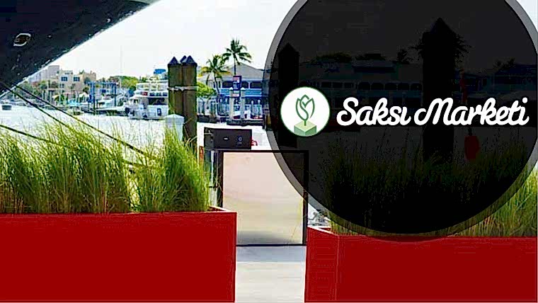 Saksı Marketi Tanıtım